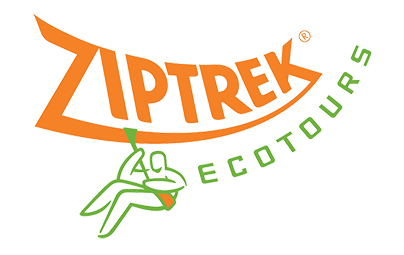 Ziptrek